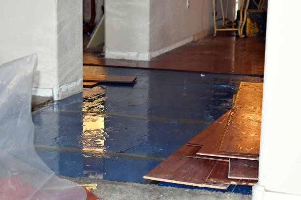 Professional Burst Pipe Cleanup technician working in Cotton, MN